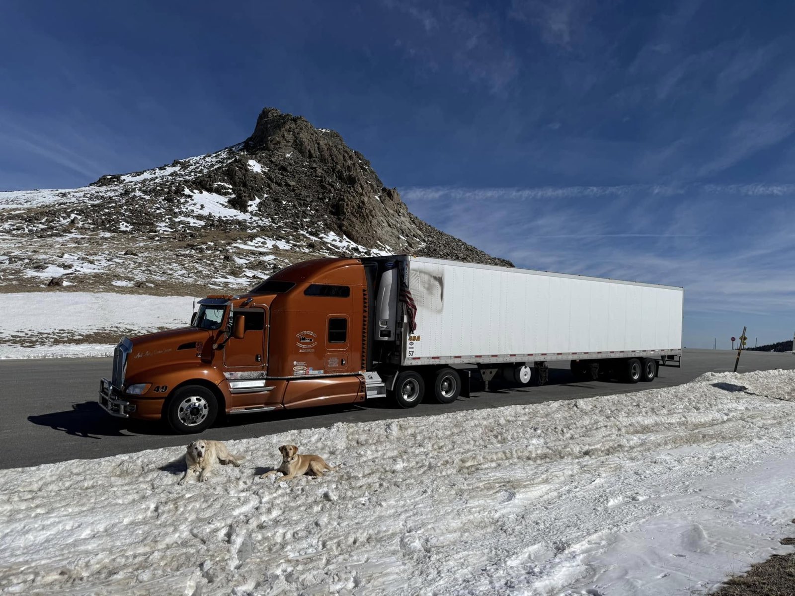 Orange Big Yellow Dog Truckin semi and reefer parked at a snowy mountain pass with both dogs resting in the snow