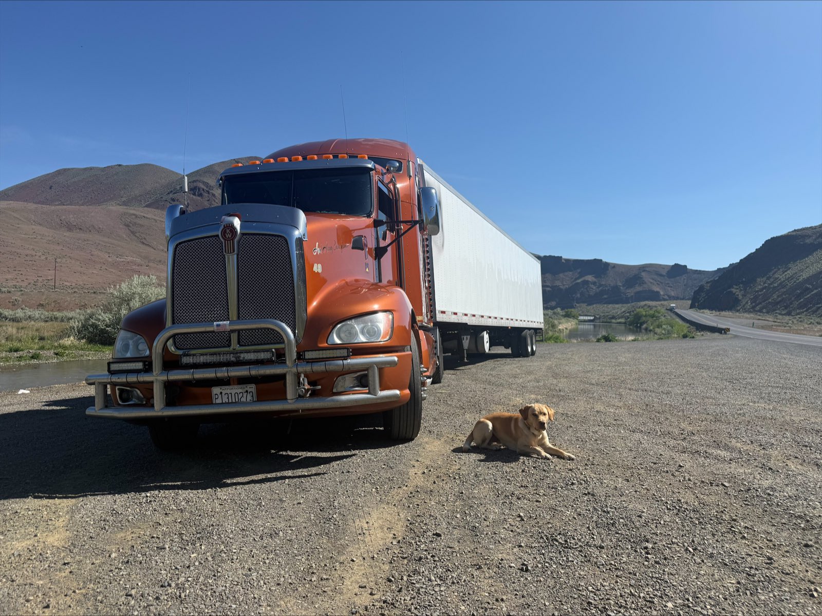 Orange Big Yellow Dog Truckin semi parked with Archie lying beside it